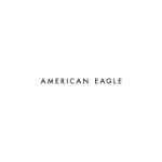 American Eagle Outfitters Wordmark Logo Vector