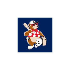 Asheville Tourists Icon Vector