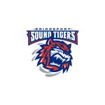 BRIDGEPORT SOUND TIGERS LOGO VECTOR