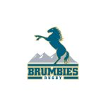 BRUMBIES LOGO VECTOR