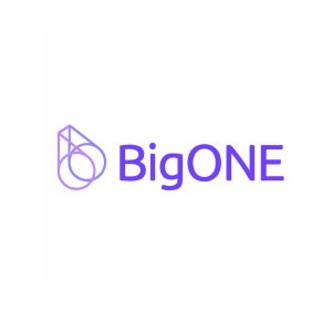 BigOne (ONE) Logo Vector