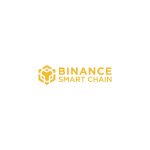 Binance Smart Chain  Logo Vector