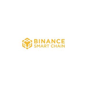 Binance Smart Chain  Logo Vector