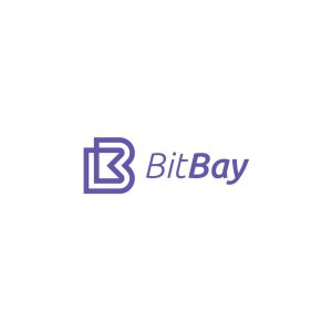 BitBay Pay Logo Vector