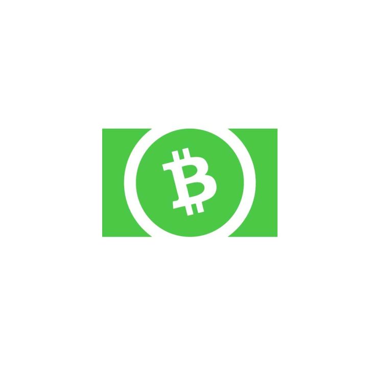 Bitcoin Cash Icon Logo Vector