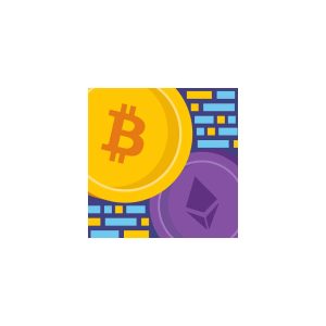 Bitcoin Flip Logo Vector