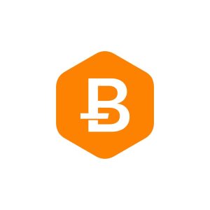 Bitcoin Rhodium Logo  Vector