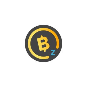 BitcoinZ Logo Vector