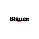 Blauer USA Logo Vector