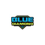 Blue Diamond Detailing Logo Vector