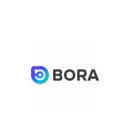 Bora   Ecosystem Logo Vector