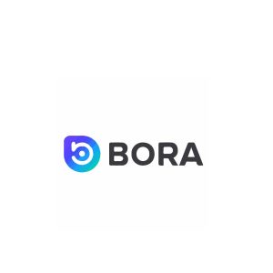 Bora   Ecosystem Logo Vector