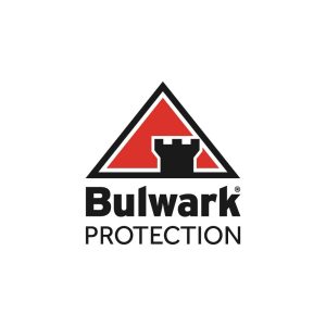 Bulwark Protection Logo Vector