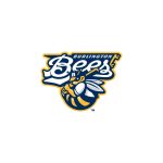 Burlington Bees Logo Vector