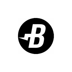 BurstCoin (BURST)  logo Vector