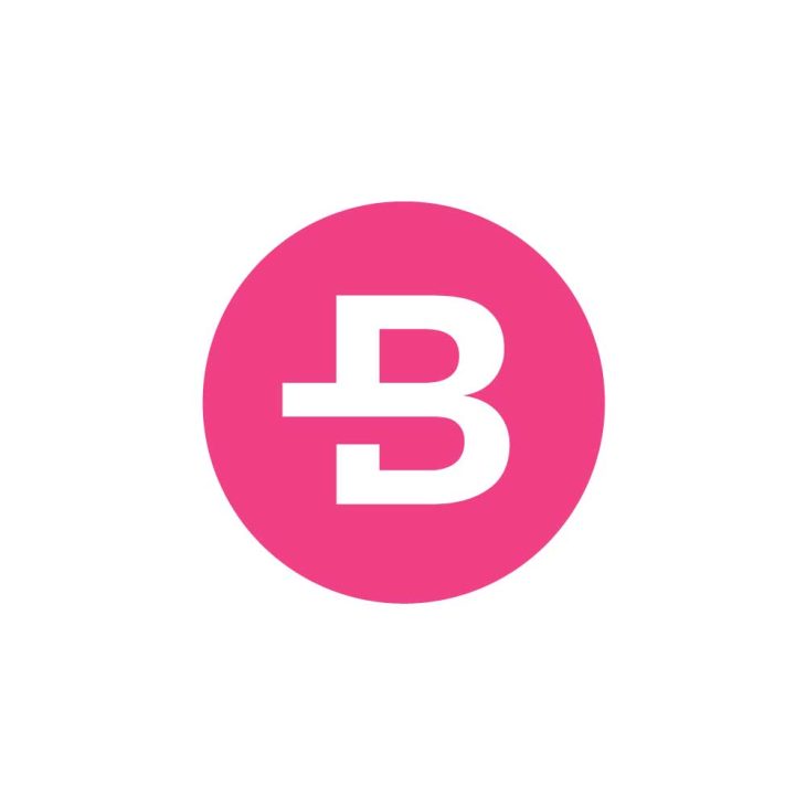 Bytecoin (BCN) Logo Vector