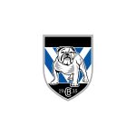 CANTERBURY BANKSTOWN BULLDOGS LOGO VECTOR