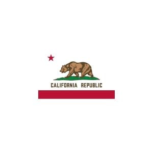 California State Flag Logo Vector