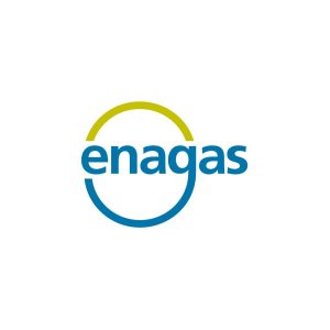 Enagás Logo Vector