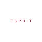 Esprit neu Logo Vector