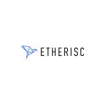 Etherisc (DIP) Logo Vector