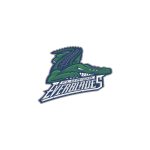 FLORIDA EVERBLADES LOGO VECTOR