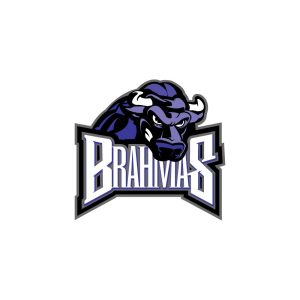 Fort Worth Brahmas Logo Vector