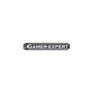 Gamer expert Logo Vector
