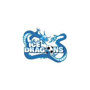 Ice Dragons Soccer Logo Vector