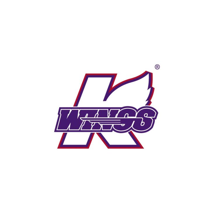 Kalamazoo Wings Logo Vector Ai Png Svg Eps Free Download