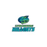 Lynchburg Hillcats Logo Vector