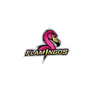 Miami Flamingos Logo Vector