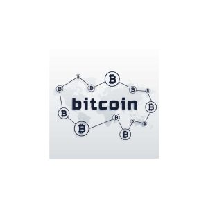 New bitcoin Logo Vector