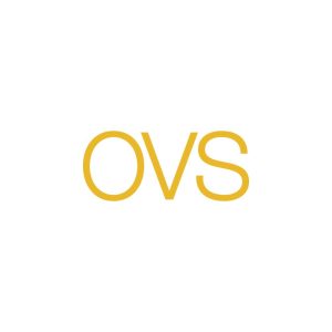 OVS 2014 Logo Vector