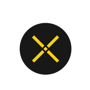 Pundi X (NPXS) Logo Vector