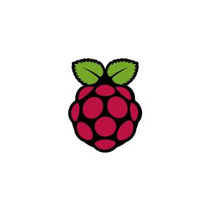 Rasberry Pi Logo Vector