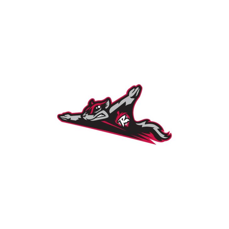 richmond-flying-squirrels-logo-vector-ai-png-svg-eps-free-download