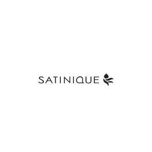 Satinique Logo Vector