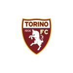 TORINO LOGO VECTOR