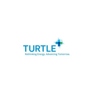Turtle Logo Vector