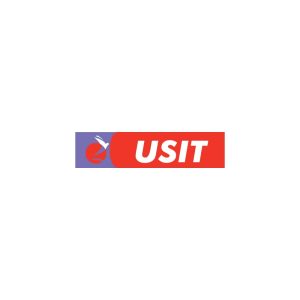 USIT Travel Logo Vector