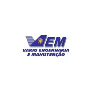 VEM Logo Vector