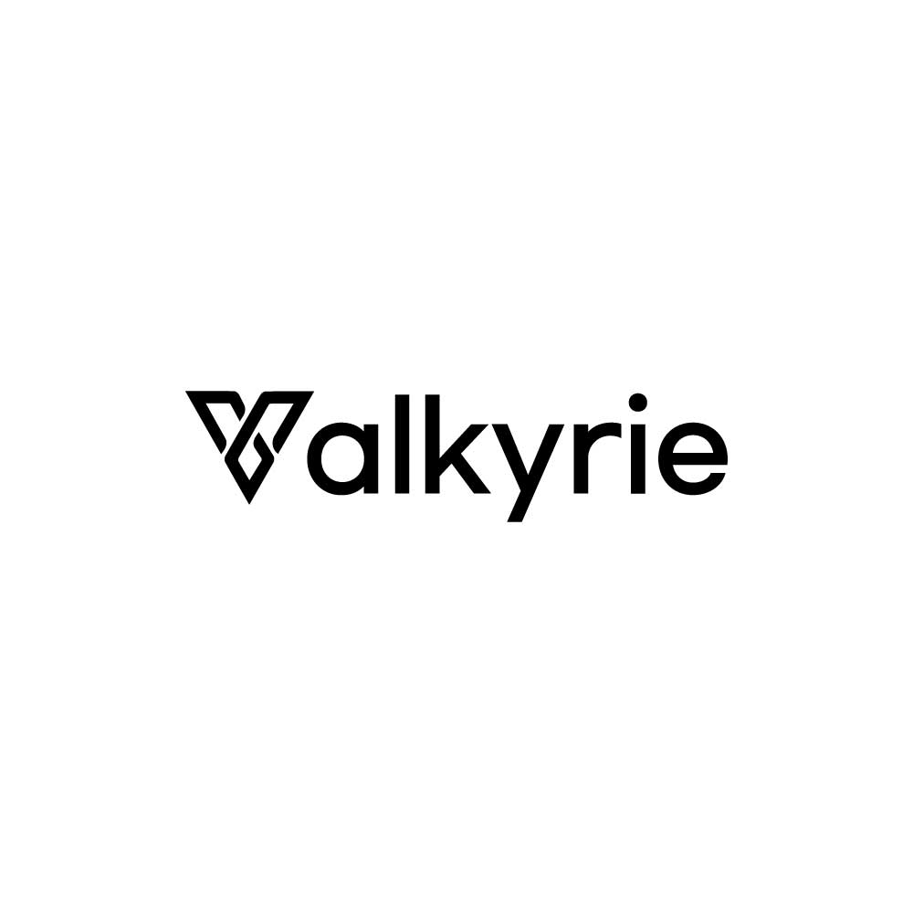 Valkyrie Protocol (VKR) Logo Vector - (.Ai .PNG .SVG .EPS Free Download)