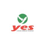 Yes Air Logo Vector