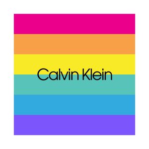calvin klein pride logo