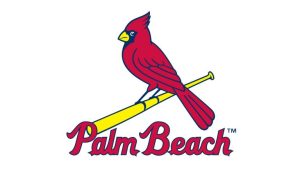 vectorseek Palm Beach Cardinals