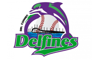 Carmen Delfines 2011 Logo
