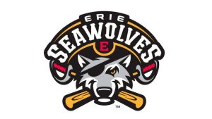 Erie SeaWolves 2013 Logo