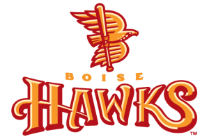 Boise Hawks 2007 Logo