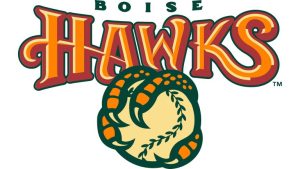 Boise Hawks 2021 Logo